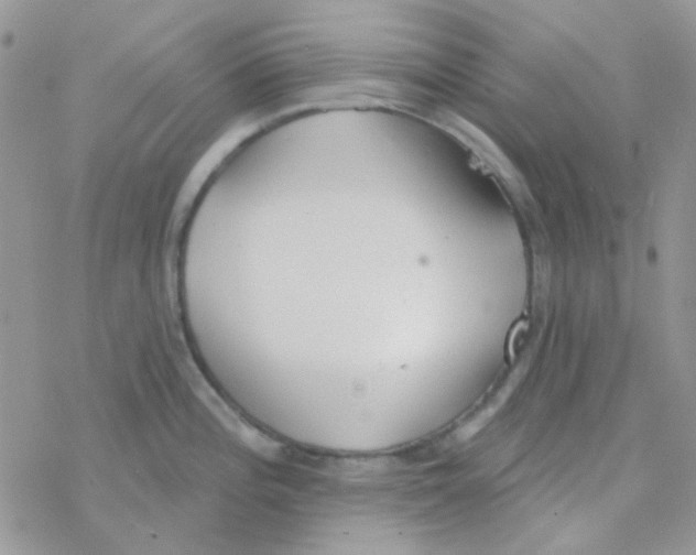 X0000077401196200611172056