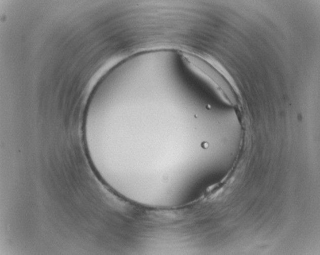 X0000077401197200611172056