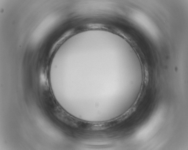 X0000077401198200611172056