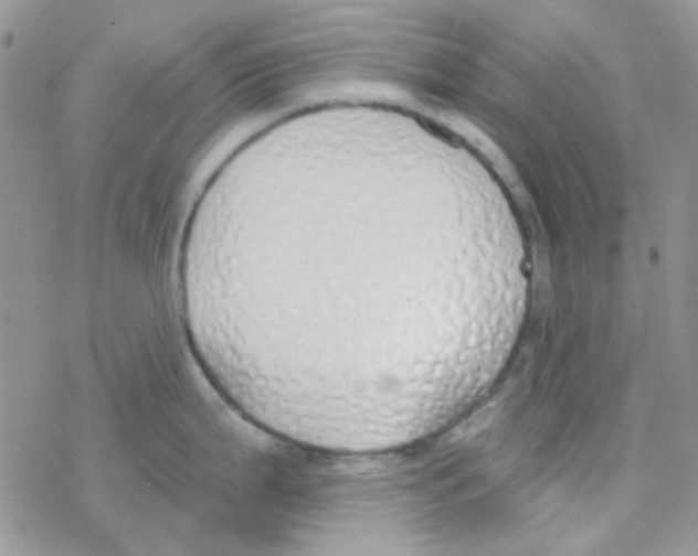 X0000077401199200611172056