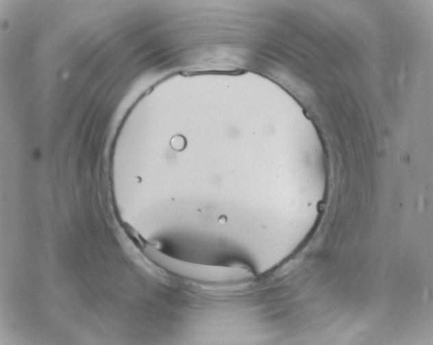 X0000077401200200611172056