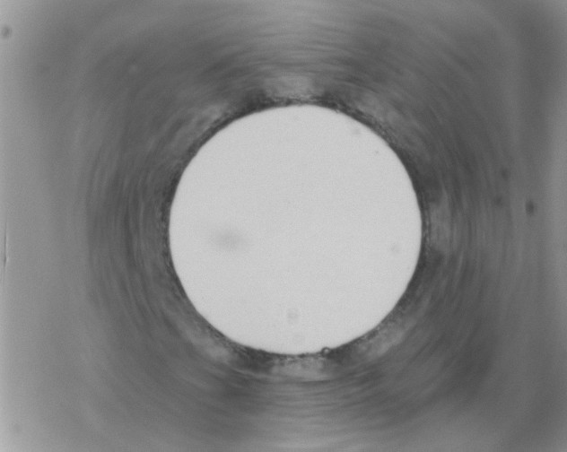 X0000077401201200611172055