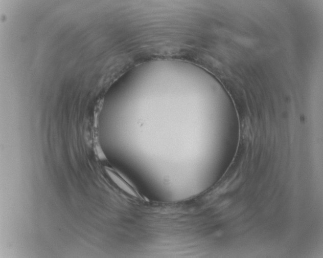 X0000077401202200611172055