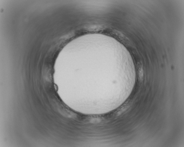 X0000077401204200611172055