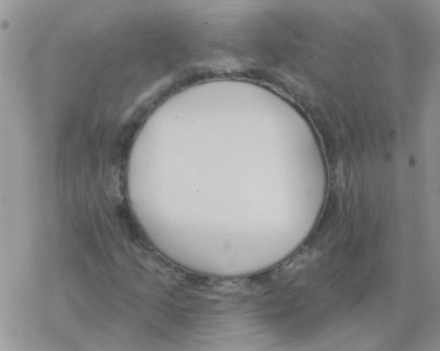 X0000077401205200611172055