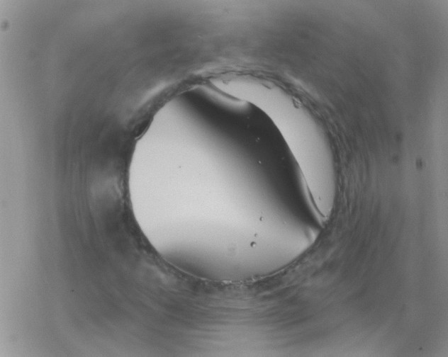 X0000077401206200611172055