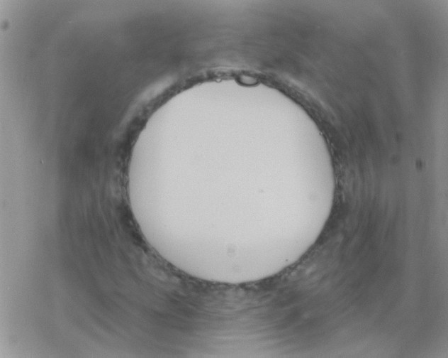 X0000077401207200611172055