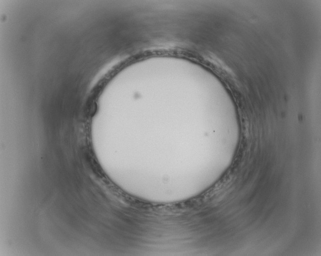 X0000077401208200611172055