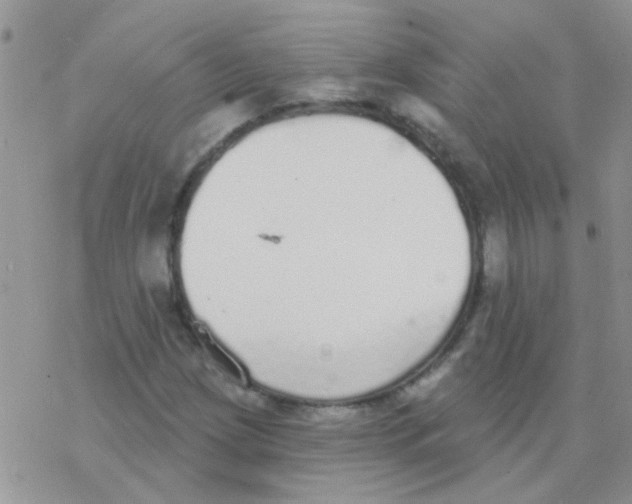 X0000077401209200611172055