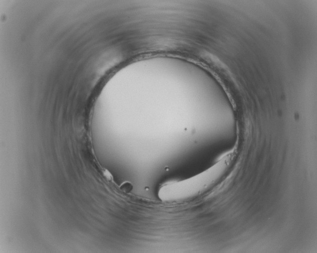 X0000077401210200611172055