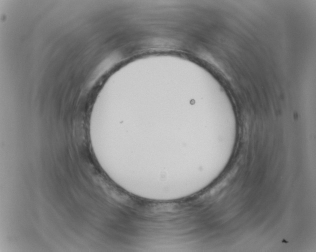 X0000077401211200611172055