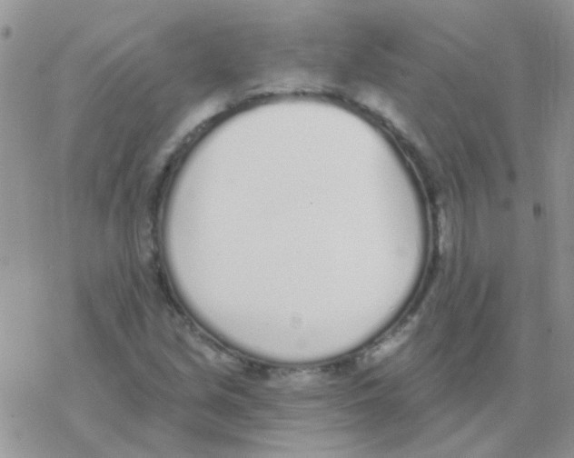 X0000077401213200611172055