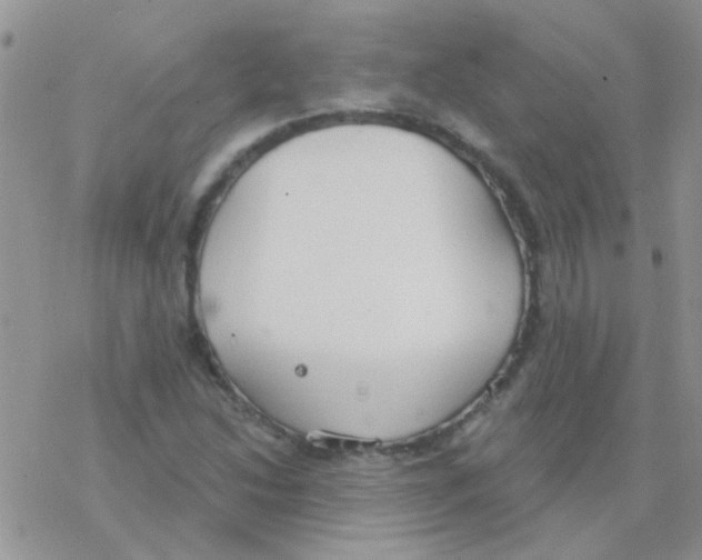 X0000077401214200611172055