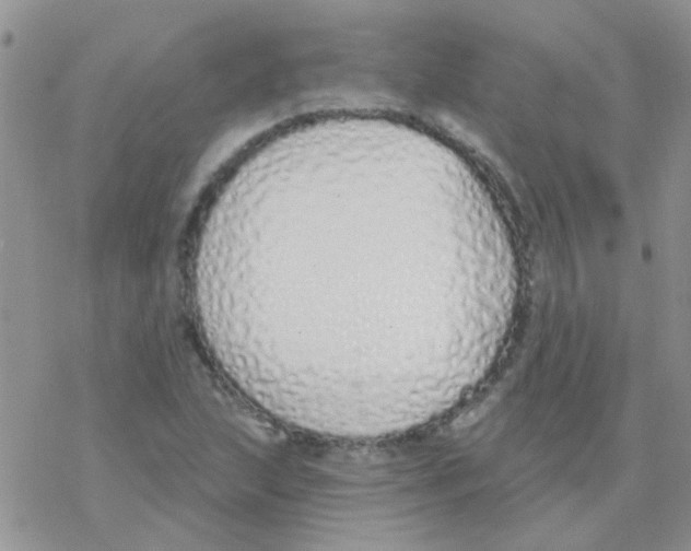 X0000077401215200611172055