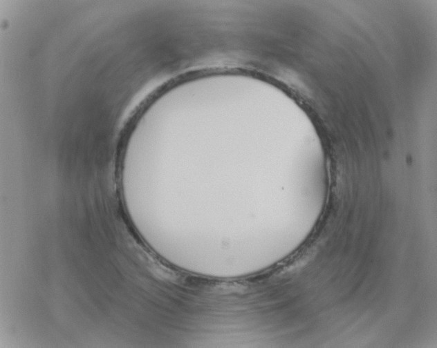 X0000077401216200611172055