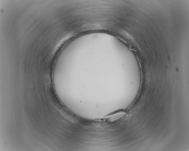 X0000077401218200611172055