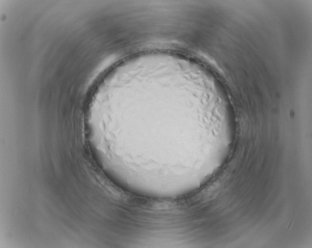 X0000077401219200611172056