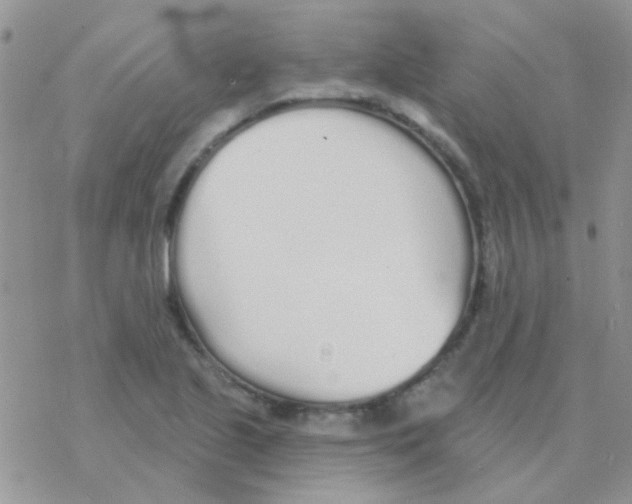 X0000077401221200611172056