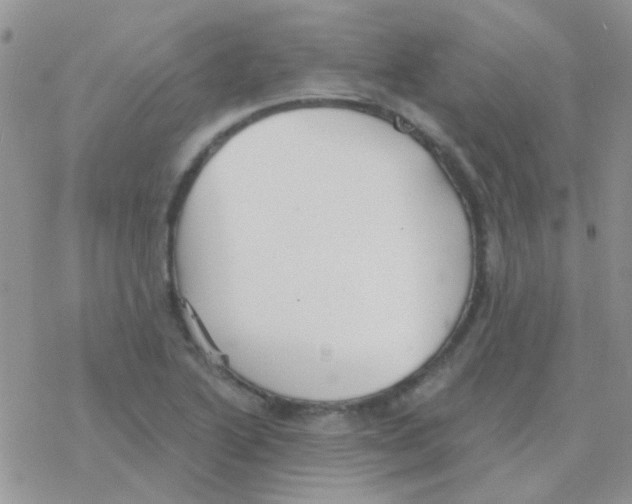 X0000077401222200611172056