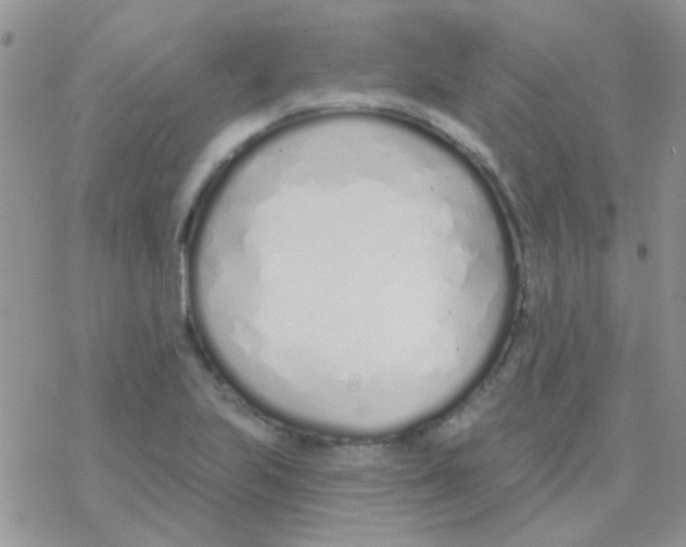 X0000077401223200611172056