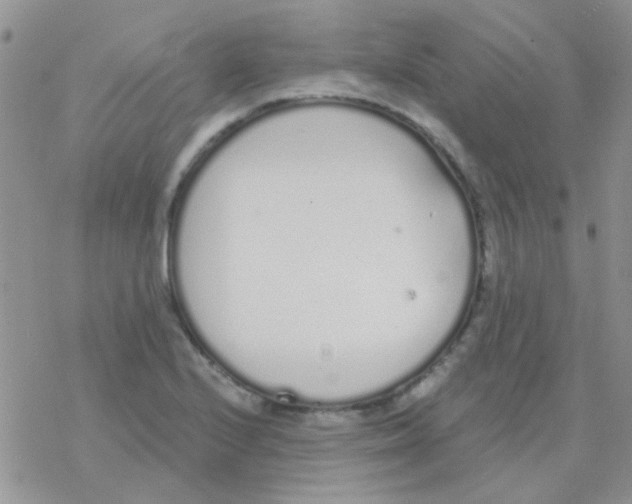 X0000077401224200611172056