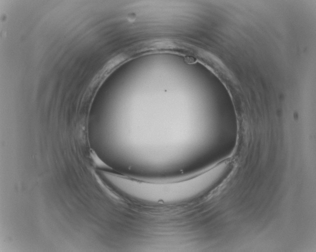 X0000077401225200611172056