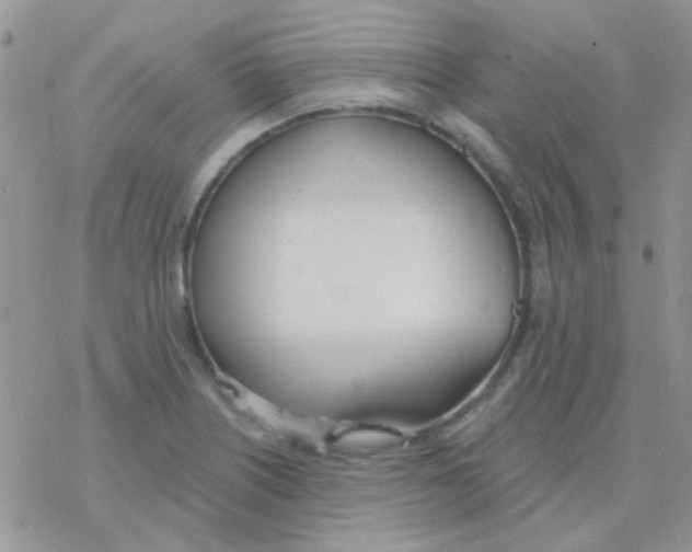 X0000077401226200611172056