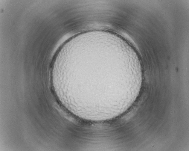 X0000077401227200611172056