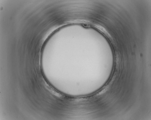 X0000077401228200611172056