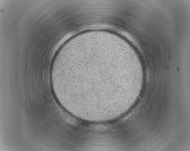 X0000077401229200611172056