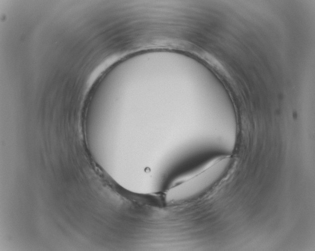 X0000077401230200611172056