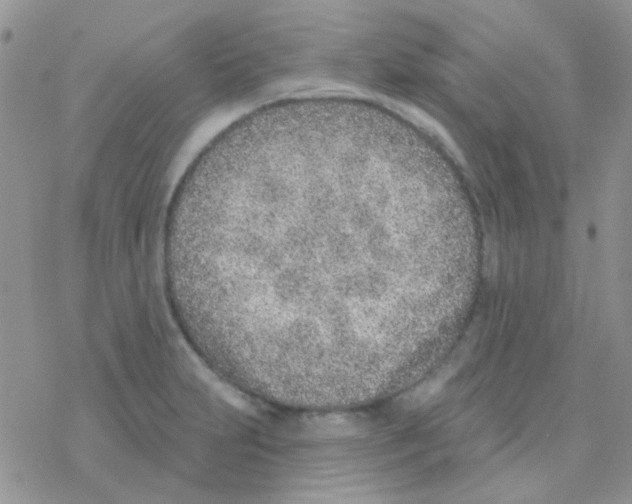 X0000077401231200611172056