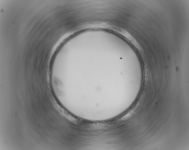 X0000077401232200611172056