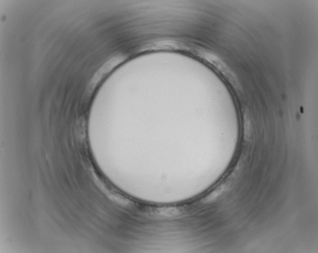 X0000077401233200611172056