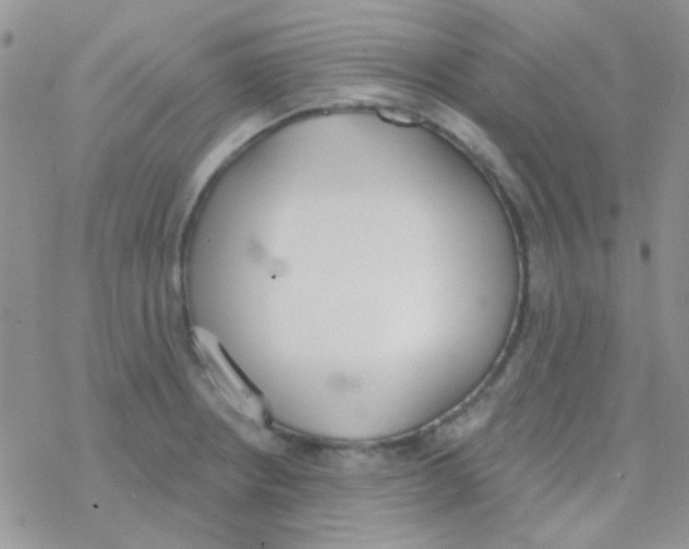 X0000077401234200611172056