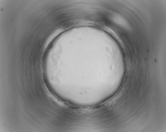 X0000077401235200611172056