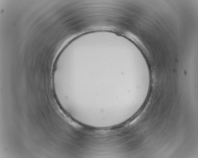 X0000077401236200611172056