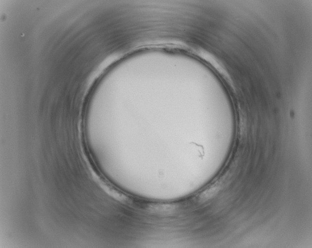 X0000077401237200611172056