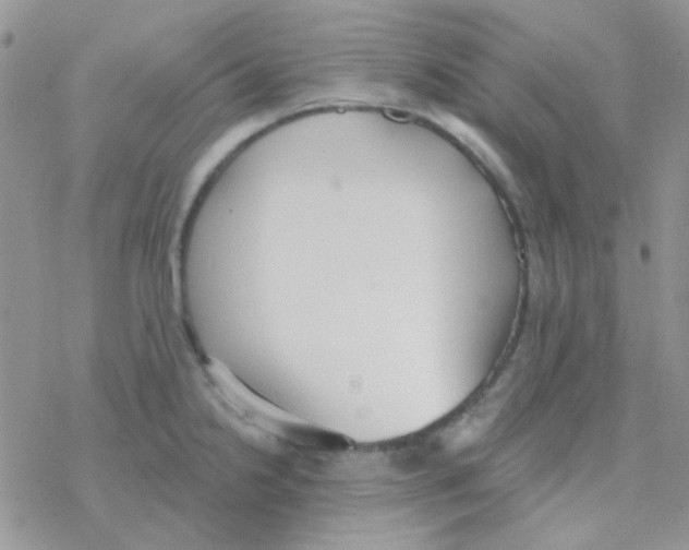 X0000077401238200611172056