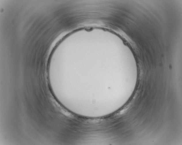 X0000077401240200611172056