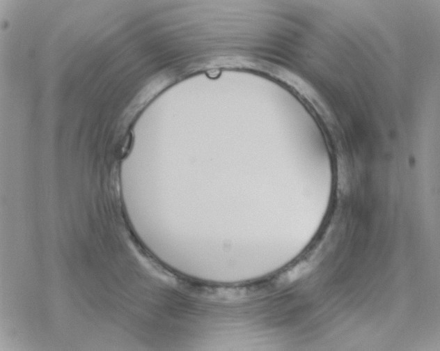 X0000077401241200611172056