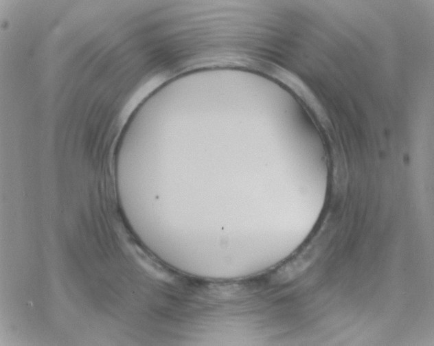 X0000077401242200611172056