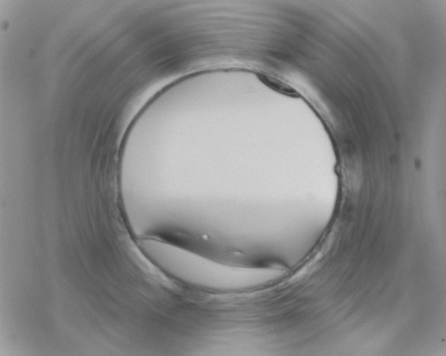 X0000077401244200611172056