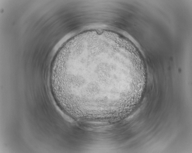 X0000077401245200611172056