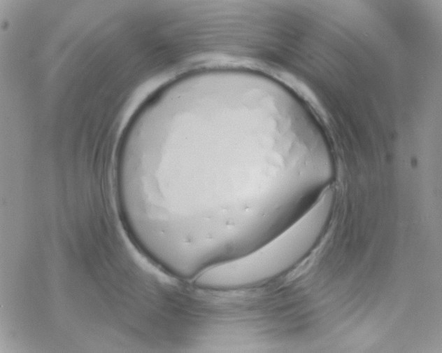 X0000077401247200611172056