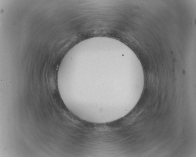 X0000077401250200611172055