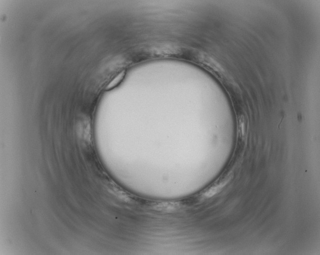 X0000077401251200611172055