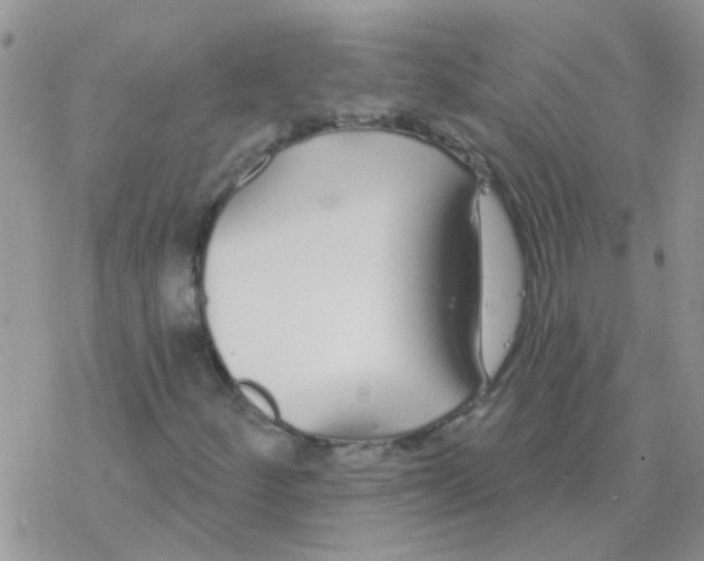 X0000077401252200611172055