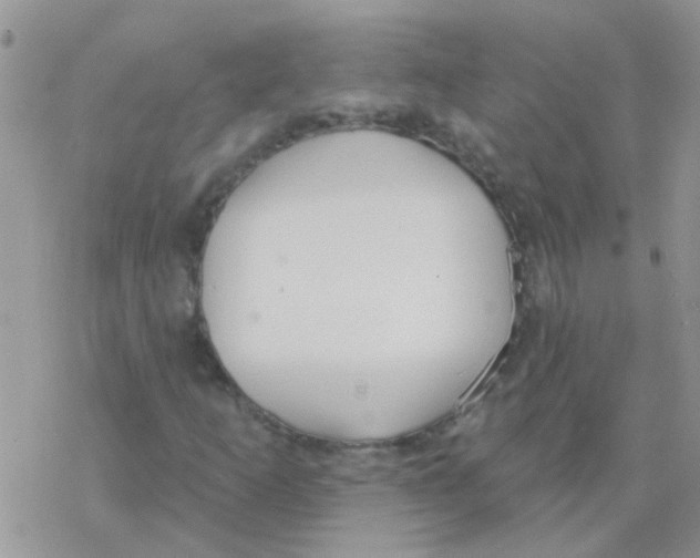 X0000077401253200611172055