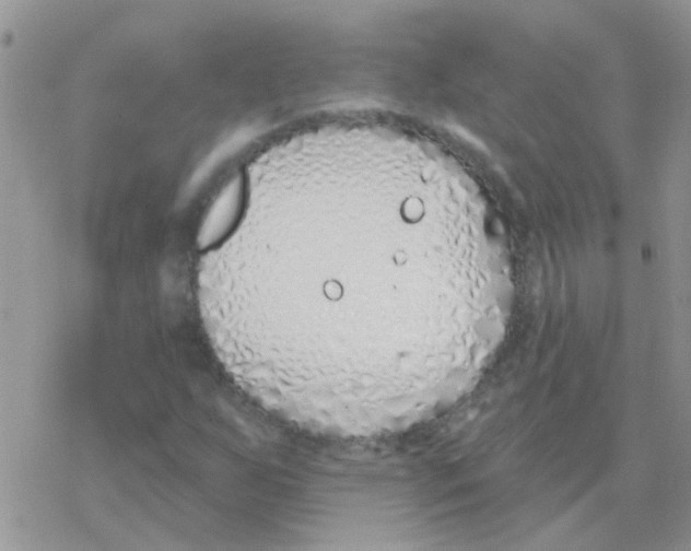 X0000077401255200611172055